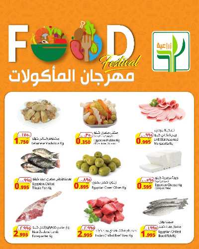 مهرجان الماكولات من المنتجات الزراعية 3