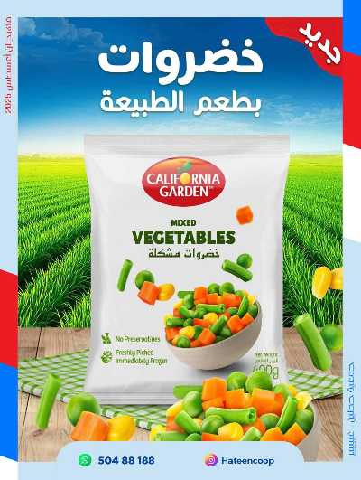 عروض جمعية حطين  13
