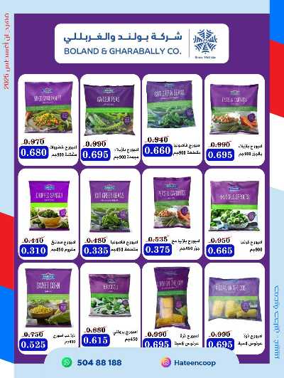 عروض جمعية حطين  14