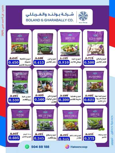 عروض جمعية حطين  15