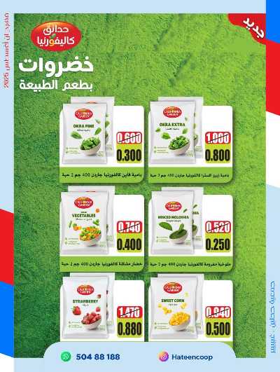 عروض جمعية حطين  12