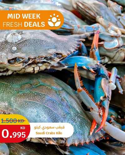 عروض الطازج من سيتى هايبر 5