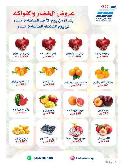 عروض جمعية حطين  2
