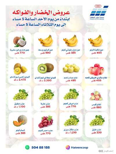 عروض جمعية حطين  3