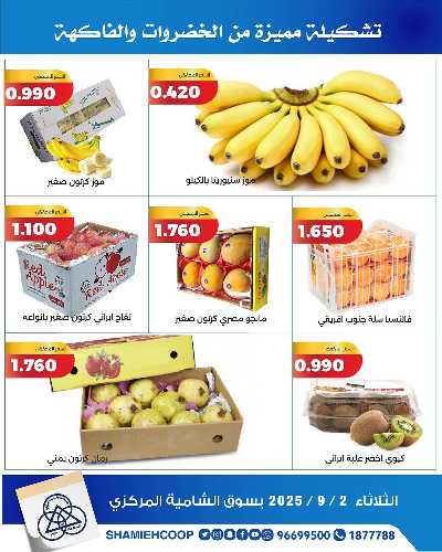 عروض الثلاثاء من جمعية الشامية والشويخ  5