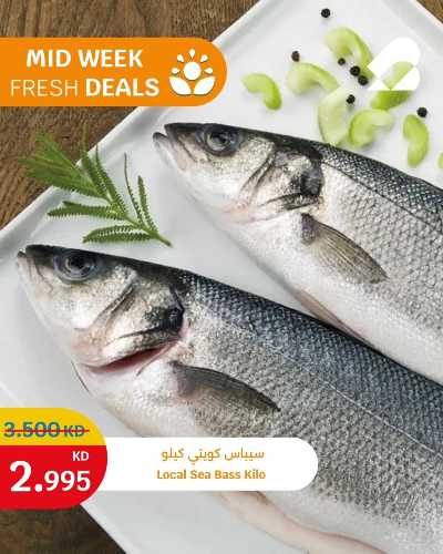 عروض الطازج من سيتى هايبر 3