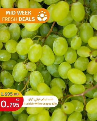 عروض الطازج من سيتى هايبر 1