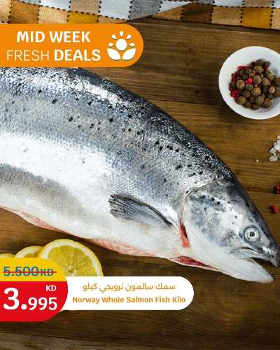 عروض الطازج من سيتى هايبر 7