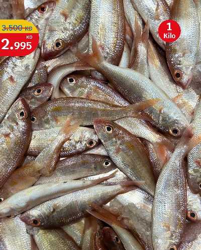 عروض الطازج من سيتى هايبر 9