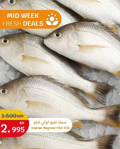 عروض الطازج من سيتى هايبر 5