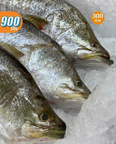 عروض الطازج من سيتى هايبر 8