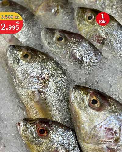 عروض الطازج من سيتى هايبر 10