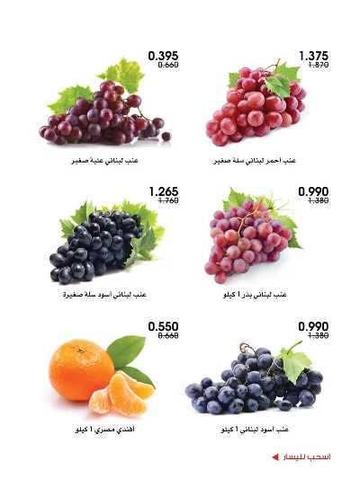  عروض جمعية الروضة وحولى  3