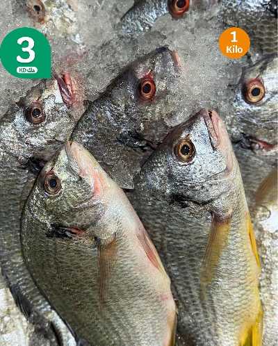 عروض الطازج من سيتى هايبر 10