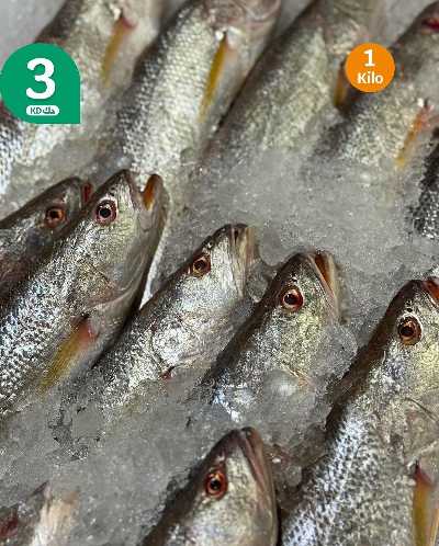 عروض الطازج من سيتى هايبر 9