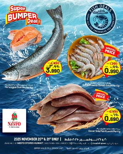 عرض الاسماك من نستو 1