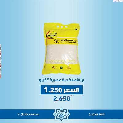 مهرجان الجملة من جمعية الضاحية والمنصورية 3