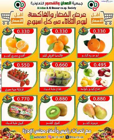 عروض الثلاثاء من جمعية العدان والقصور 2