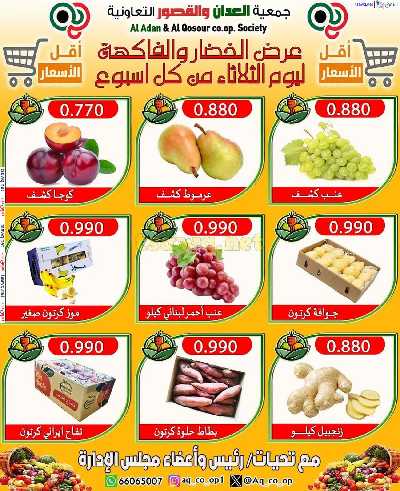 عروض الثلاثاء من جمعية العدان والقصور 3