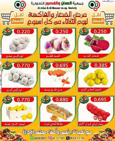 عروض الثلاثاء من جمعية العدان والقصور 4