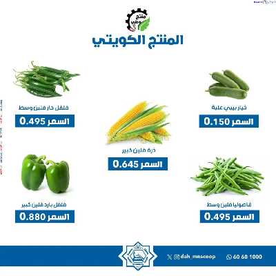 عروض الاربعاء من جمعية الضاحية والمنصورية 2