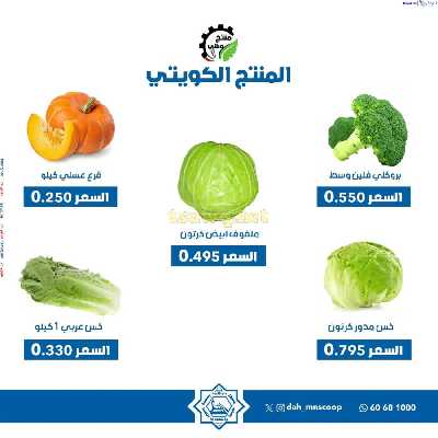 عروض الاربعاء من جمعية الضاحية والمنصورية 3