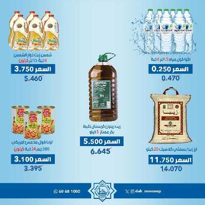 عروض جمعية الضاحية والمنصورية  3