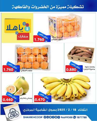 عروض الثلاثاء من جمعية الشامية والشويخ  4