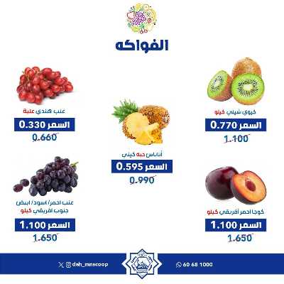 عروض الاربعاء من جمعية الضاحية والمنصورية - خضار وفاكهه 9