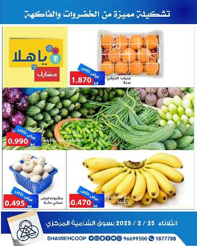 عروض الثلاثاء من جمعية الشامية والشويخ  4