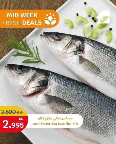 عروض الطازج من سيتى هايبر 4