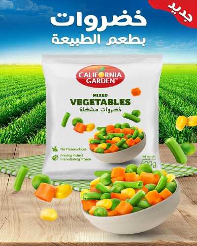 عروض جمعية ضاحية الشهداء 15