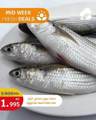 عروض الطازج من سيتى هايبر 4