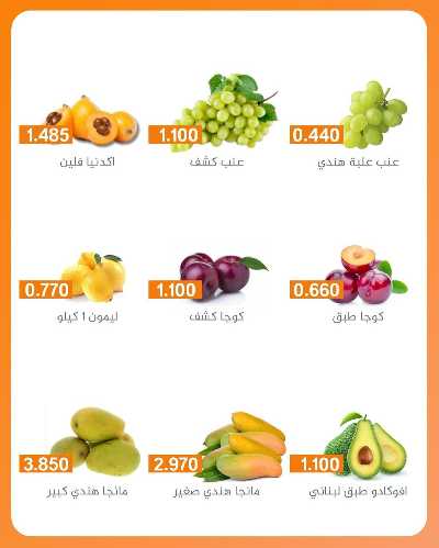 عروض الاربعاء من جمعية الرميثية 4