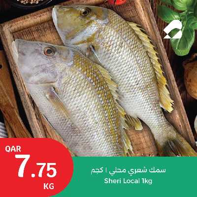 عروض اليوم الواحد من سيتى هايبر 5