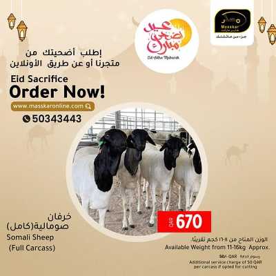 عروض الاضحية من مسكر 1