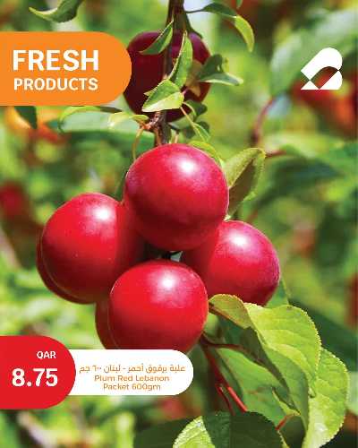 عروض الطازج من سيتى هايبر 12