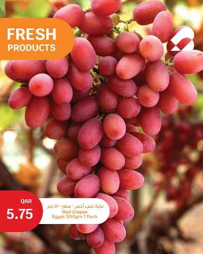 عروض الطازج من سيتى هايبر 16