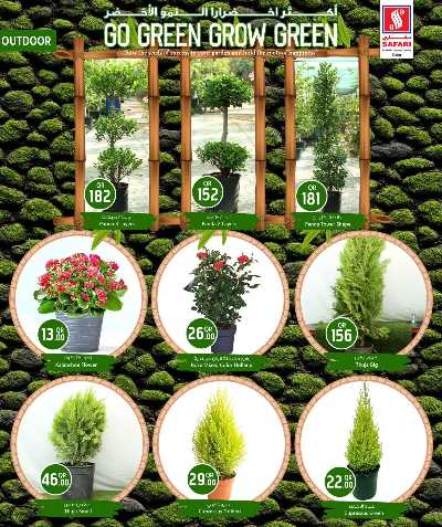 عروض مهرجان الزراعه من سفارى 7