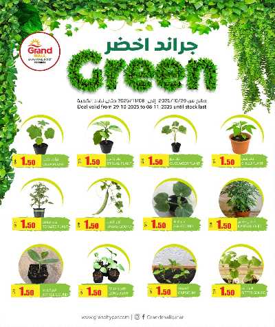 مهرجان الاحتفال العربي  من جراند - سلوي 20