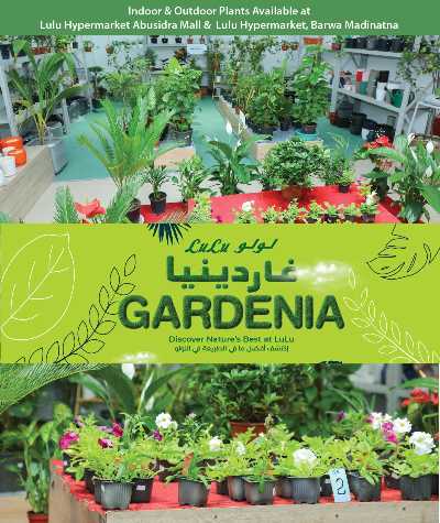 عروض الاجواء الخارجية من لولو 7