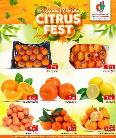 صفحة 3 من كتالوج مهرجان الحمضيات من دانة