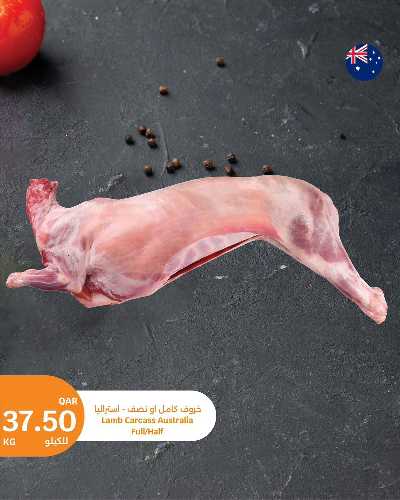 صفحة 3 من كتالوج عروض الطازج من سيتى هايبر