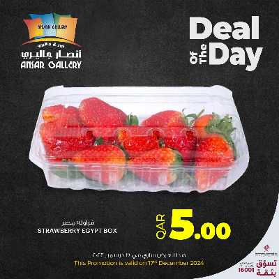 عرض اليوم الواحد من أنصار جاليرى 4