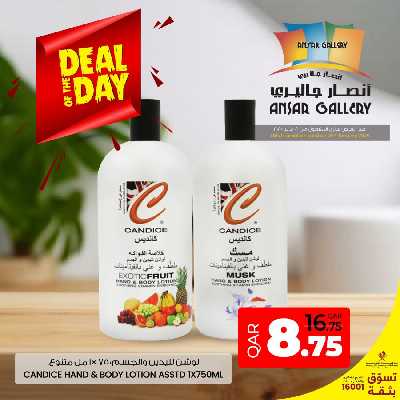 عرض اليوم الواحد من أنصار جاليرى 1