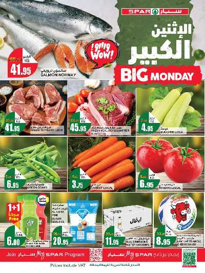 عرض اليوم الواحد من سبار 1