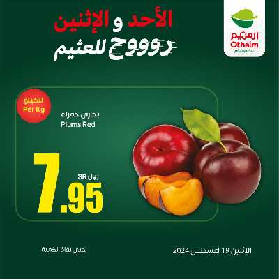 عرض اليوم الواحد من العثيم 2
