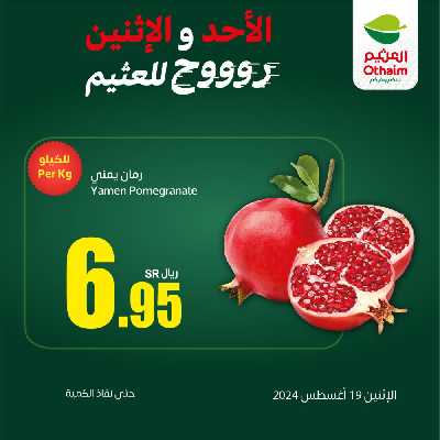 عرض اليوم الواحد من العثيم 3