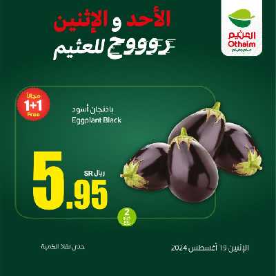 عرض اليوم الواحد من العثيم 4