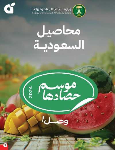 العروض الاسبوعيه من هايبر بنده 6